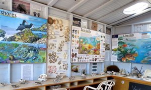 Bewaring meer as net praat